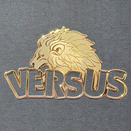 Пример нанесения металлостикером 2